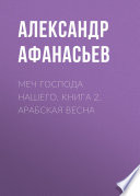 Меч Господа нашего. Книга 2. Арабская весна