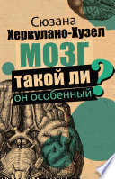 Мозг. Такой ли он особенный?