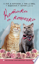 Котики и кошечки (сборник)