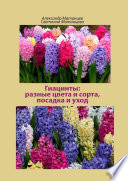 Гиацинты: разные цвета и сорта, посадка и уход