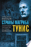 Страны Магриба. Тунис. Независимое государство на руинах Карфагена