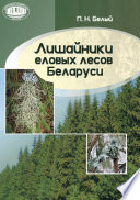 Лишайники еловых лесов Беларуси