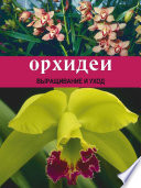 Орхидеи: Выращивание и уход
