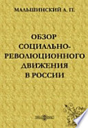 Обзор социально-революционного движения в России