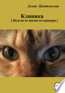 Клиника. Неделя из жизни ветеринара