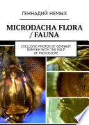 Microdacha flora / fauna. Exclusive photos of Gennady Nemykh with the help of microscope