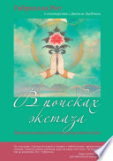 В поисках экстаза. Целительный путь неукрощенного духа