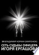 Сеть судьбы офицера Игоря Ергашова (сборник)
