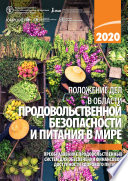 Положение дел в области продовольственной безопасности и питания в мире 2020