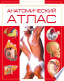 Анатомический атлас. Основы строения и физиологии человека
