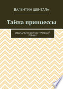 Тайна принцессы. Социально-фантастический роман