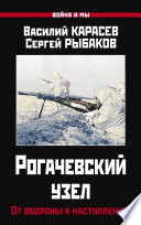 Рогачевский узел. От обороны к наступлению