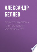 Огни социализма, или Господин Уэллс во мгле