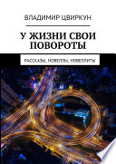 У жизни свои повороты. Рассказы, новеллы, новеллиты