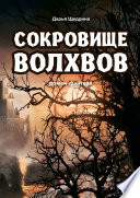 Сокровище волхвов. Роман-фэнтези