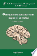 Функциональная анатомия нервной системы. Учебное пособие