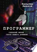 Программер. Сценарий жизни героя нашего времени