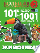 Животные. 101 видео и 1001 фотография