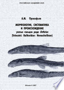 Морфология, систематика и происхождение усатых гольцов рода Orthrias (Teleostei: Balitoridae: Nemacheilinae)