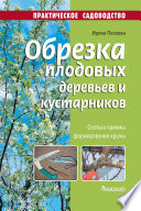 Обрезка плодовых деревьев и кустарников