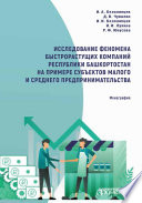 Исследование феномена быстрорастущих компаний Республики Башкортостан на примере субъектов малого и среднего предпринимательства