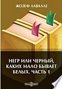 Негр или Черный, каких мало бывает белых