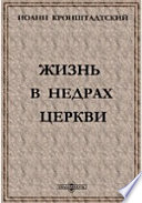 Жизнь в недрах Церкви (из дневника за 1902 г.)