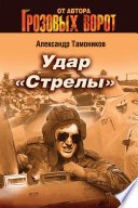 Удар «Стрелы»