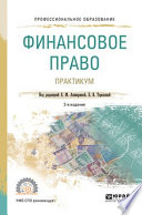 Финансовое право. Практикум 2-е изд., пер. и доп. Учебное пособие для СПО