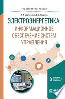 Электроэнергетика: информационное обеспечение систем управления. Учебное пособие для вузов