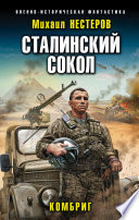 Сталинский сокол. Комбриг