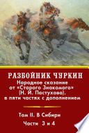 Разбойник Чуркин. Том 2. В Сибири