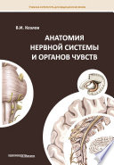 Анатомия нервной системы и органов чувств