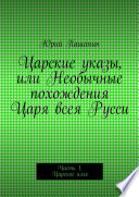 Царские указы, или Необычные похождения Царя всея Русси. Часть 1. Царское имя