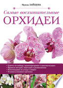 Самые восхитительные орхидеи
