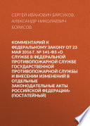 Комментарий к Федеральному закону от 23 мая 2016 г. No 141-ФЗ «О службе в федеральной противопожарной службе Государственной противопожарной службы и внесении изменений в отдельные законодательные акты Российской Федерации» (постатейный)