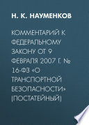 Комментарий к Федеральному закону от 9 февраля 2007 г. No 16-ФЗ «О транспортной безопасности» (постатейный)