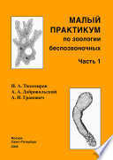 Малый практикум по зоологии беспозвоночных. Часть 1