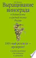 Выращивание винограда в Подмосковье и средней полосе России