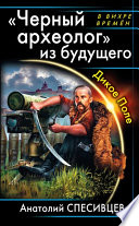 «Черный археолог» из будущего. Дикое Поле