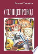 Солнцепровод. Подпольные мужички – 4