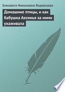 Домашние птицы, и как бабушка Аксинья за ними ухаживала