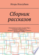 Сборник рассказов. «Загадочная история на реке Бирь», «Случай на трассе М-5», «Осиное гнездо», «Сюрприз в дорогу», «Домовой», «2020»