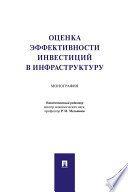 Оценка эффективности инвестиций в инфраструктуру. Монография