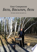 Беги, Василич, беги. Путевые заметки про рай и ад