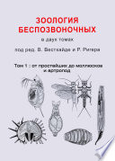 Зоология беспозвоночных. Том 1. От простейших до моллюсков и артропод