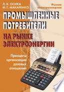 Промышленные потребители на рынке электроэнергии. Принципы организации деловых отношений