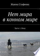 Нет мира в конном мире. Часть 1. Вход