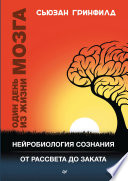 Один день из жизни мозга. Нейробиология сознания от рассвета до заката