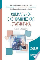 Социально-экономическая статистика. Учебник и практикум для академического бакалавриата